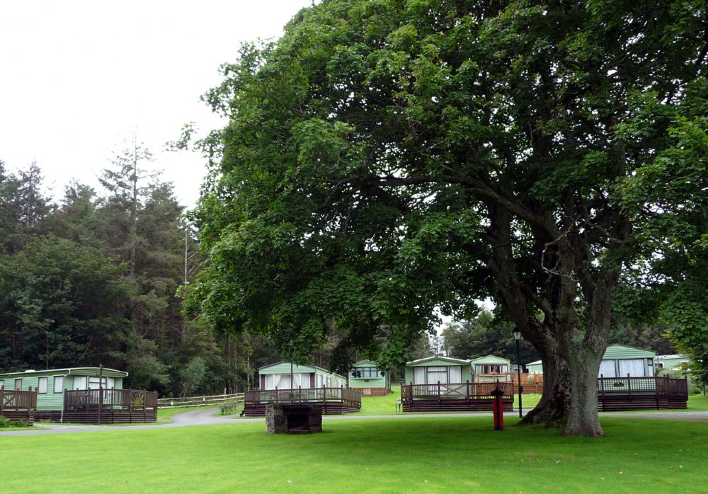 Willerby Ellesmere